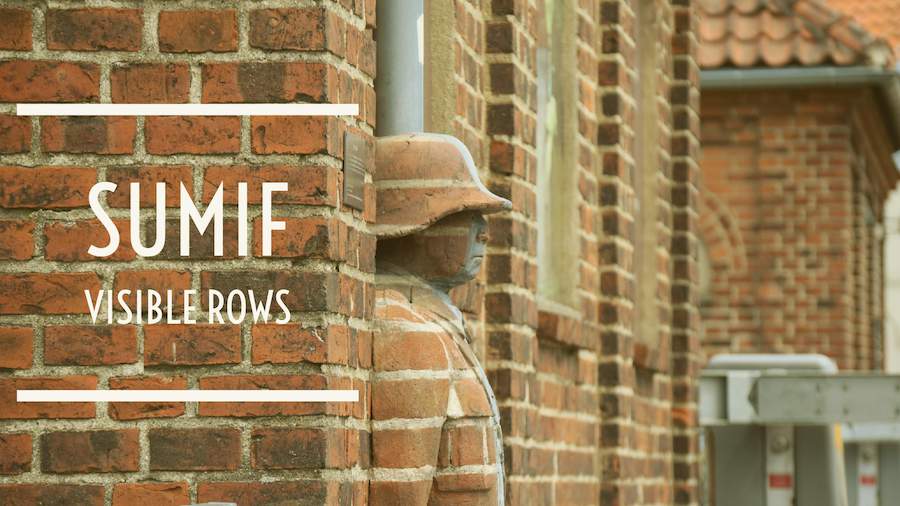 SUMIF Visible Cells Excel Tips MrExcel Publishing