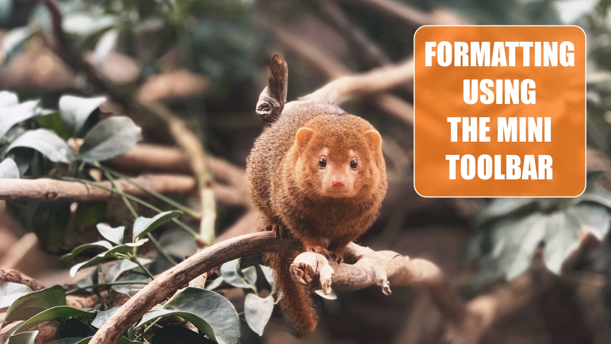 Get Quick Access to Formatting Options Using the Mini Toolbar Excel