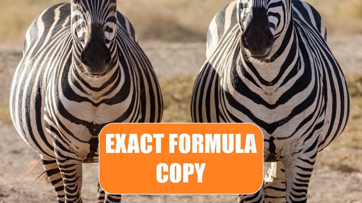 Exact Formula Copy Excel Tips MrExcel Publishing