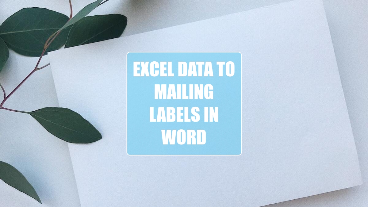 Excel Data to Mailing Labels in Word Excel Tips MrExcel Publishing