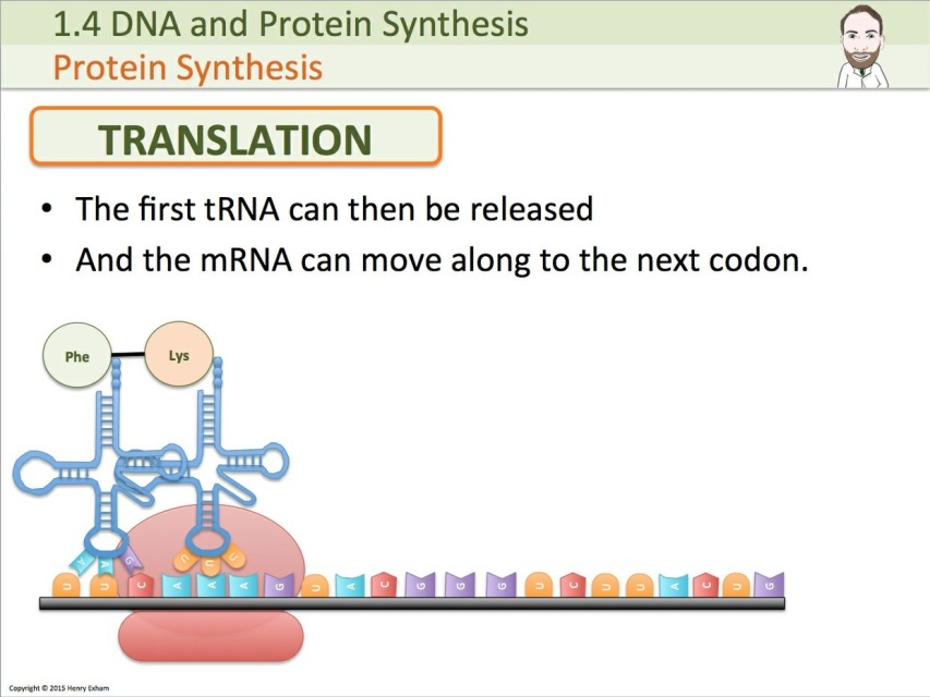 A Level Biological Molecules PowerPoint