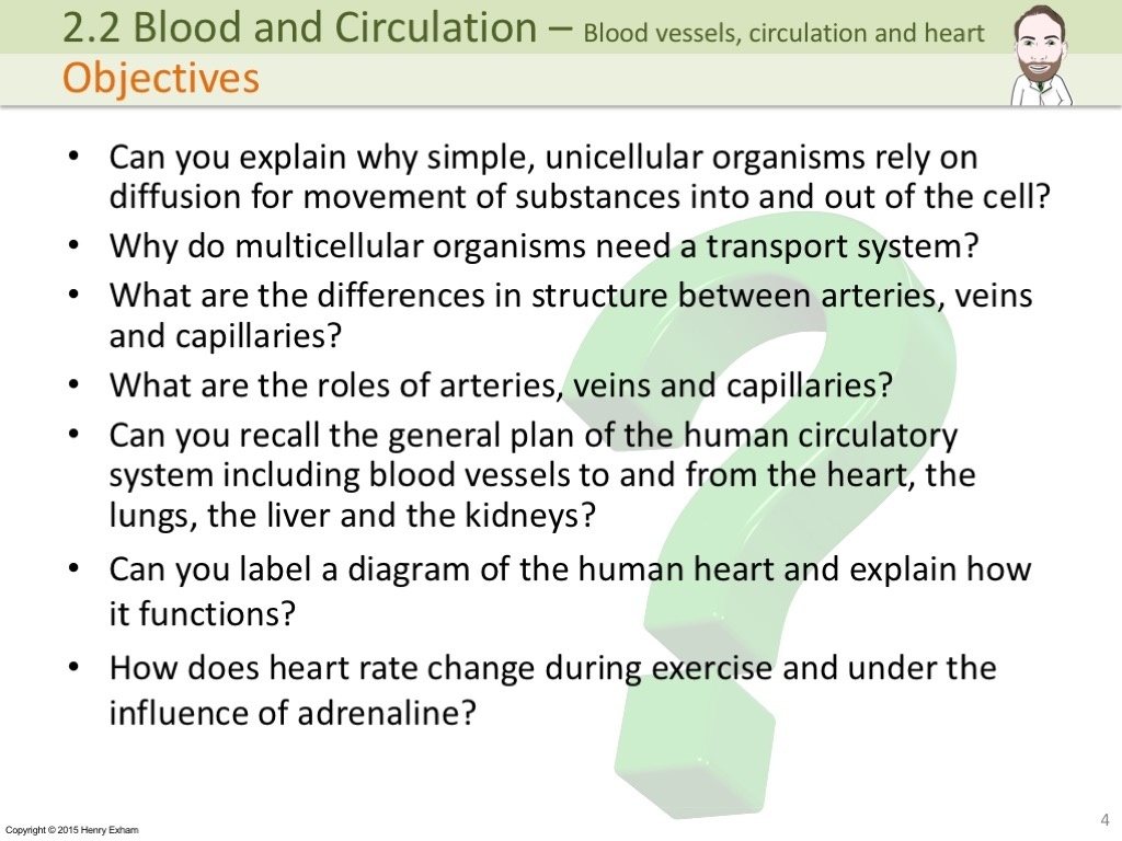 IGCSE Blood vessels, circulation and the heart