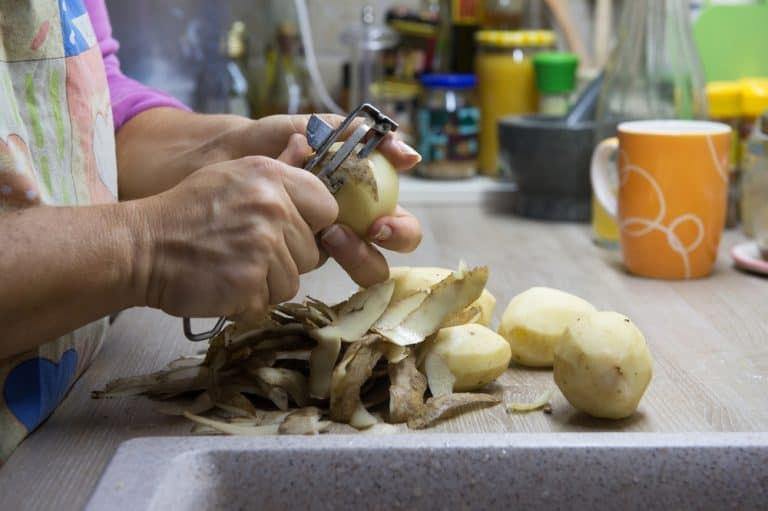 How To Unclog A Garbage Disposal Clogged With Potato Peels Mr