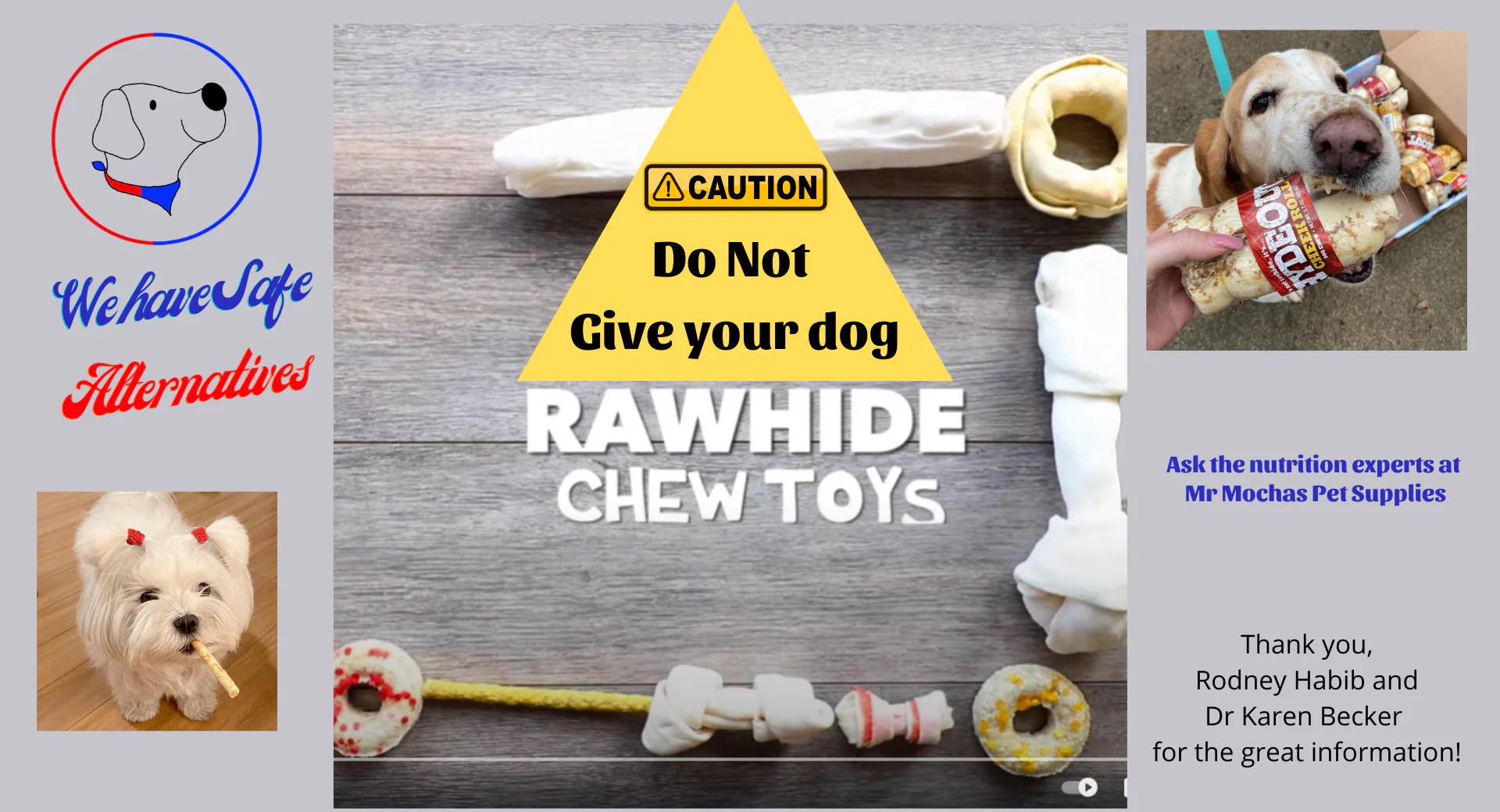 Don't Feed Dogs Rawhide! Mr Mochas Pet Supplies