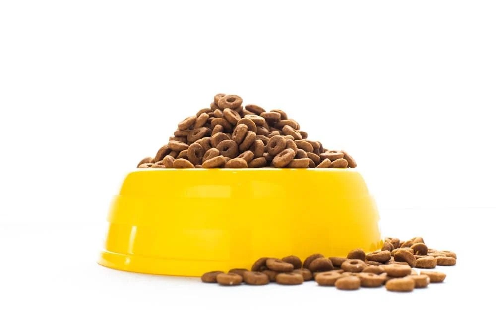 Top 5 Best Grain Free Dog Foods of 2022 Mr n Mrs Pet