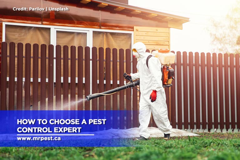 How to Choose a Pest Control Expert Mr Pest Control