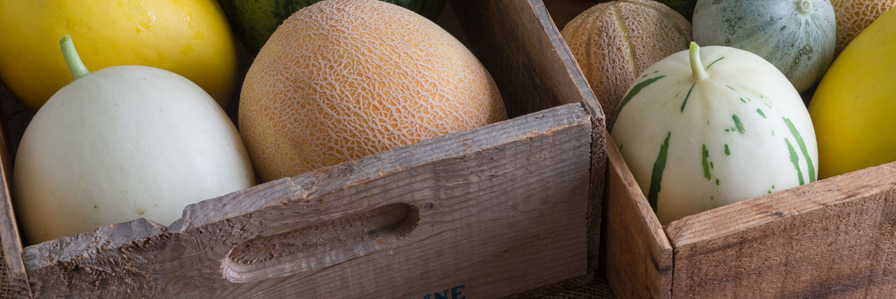 Doomsday Fruit Seeds