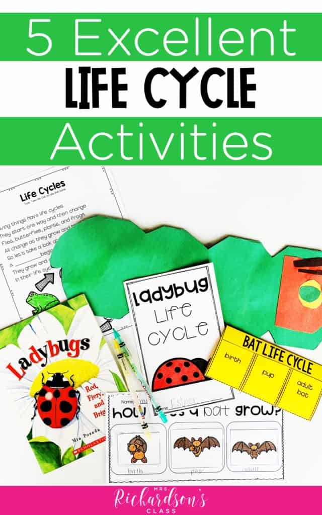 5 Ideas for Excellent Life Cycle Activities - Mrs. Richardson's Class