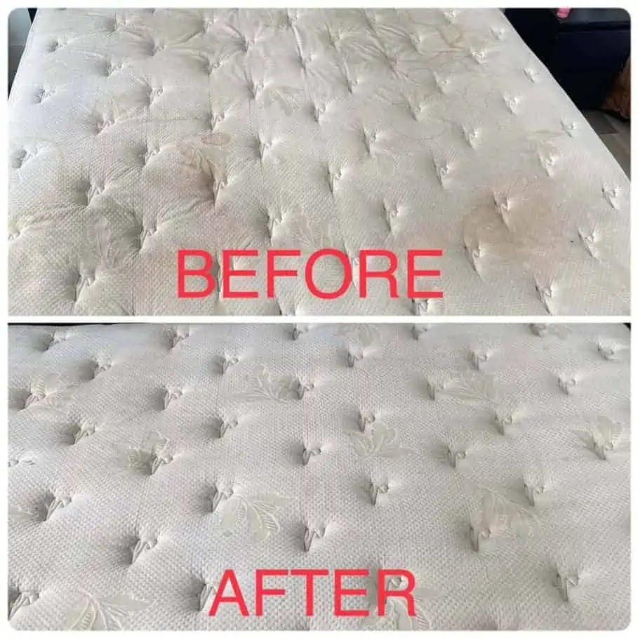 Steam Pro Carpet & Upholstery Cleaning in Chilliwack