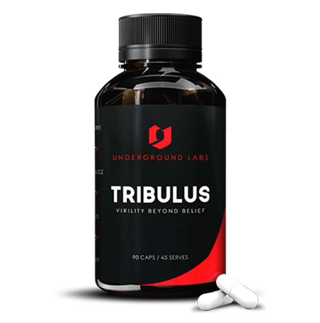 When to Take Tribulus Mr Supplement Australia