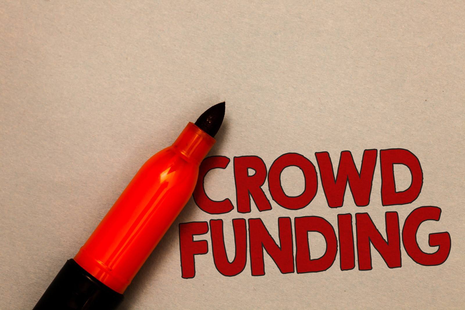 Let’s Look At the Best Business Fundraising Strategies Mrs. Wigglebottom