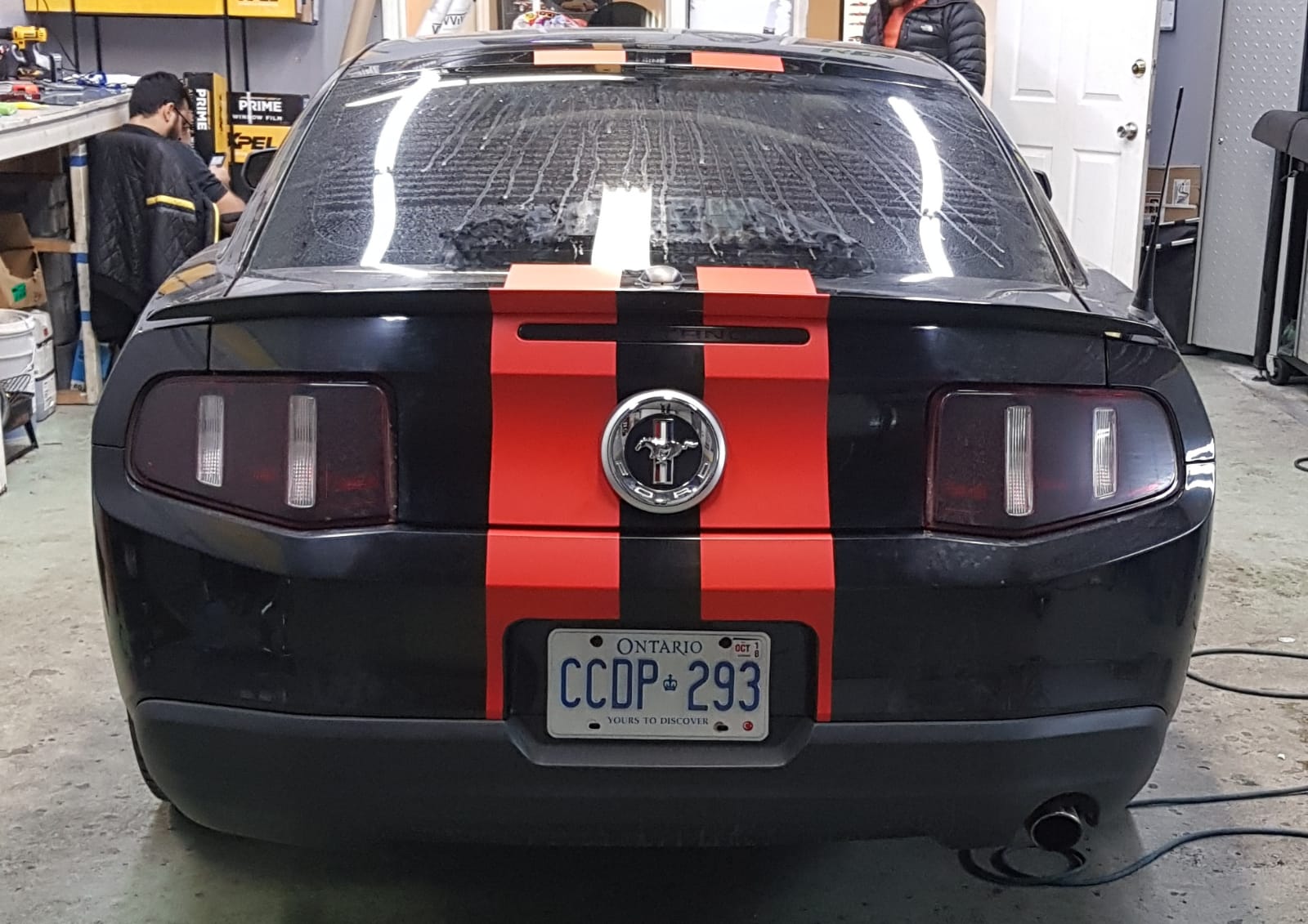  Mr Tint Toronto, Window Tinting Toronto and Paint Protection Film Toronto