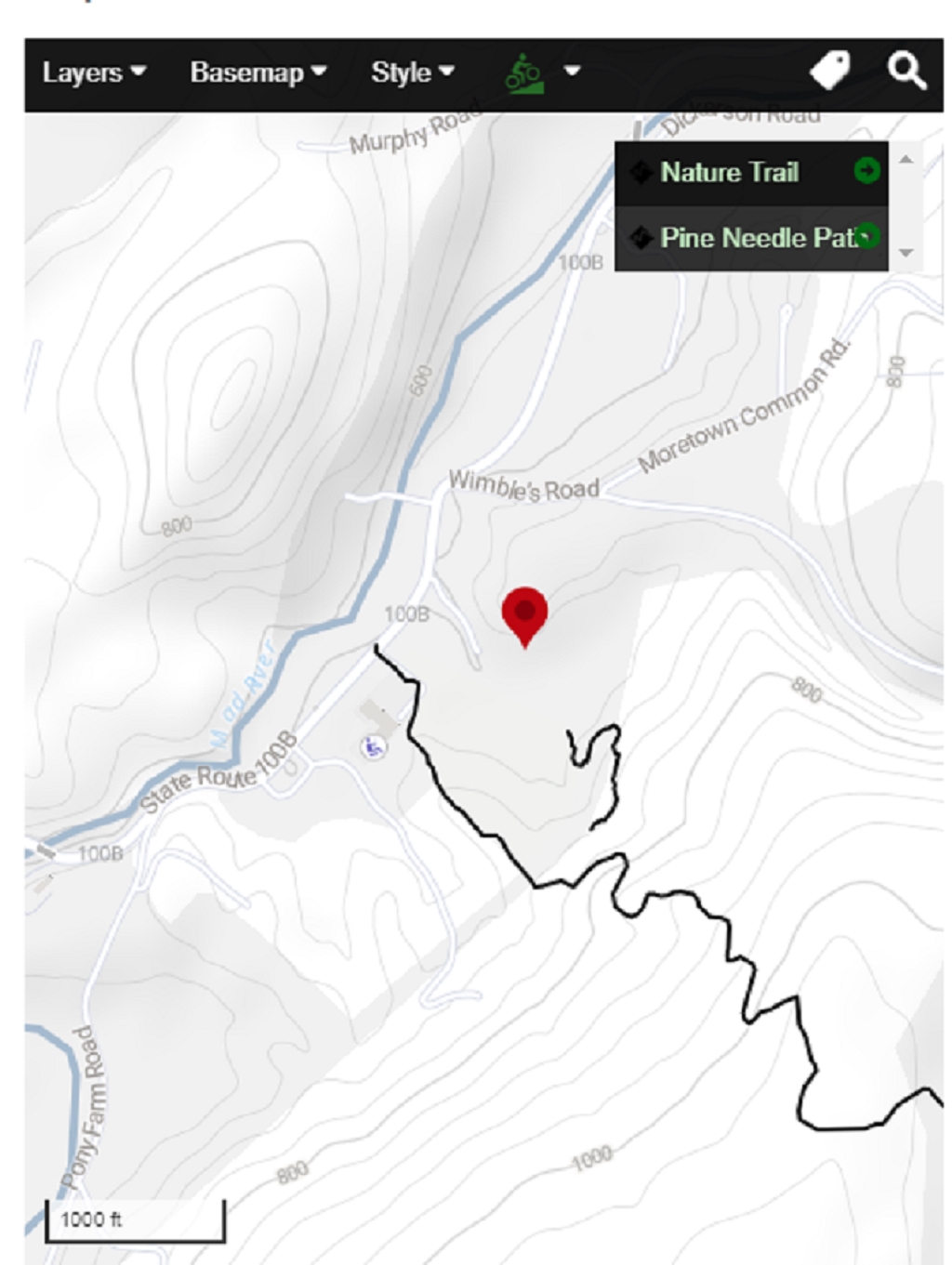 Moretown Town Forest