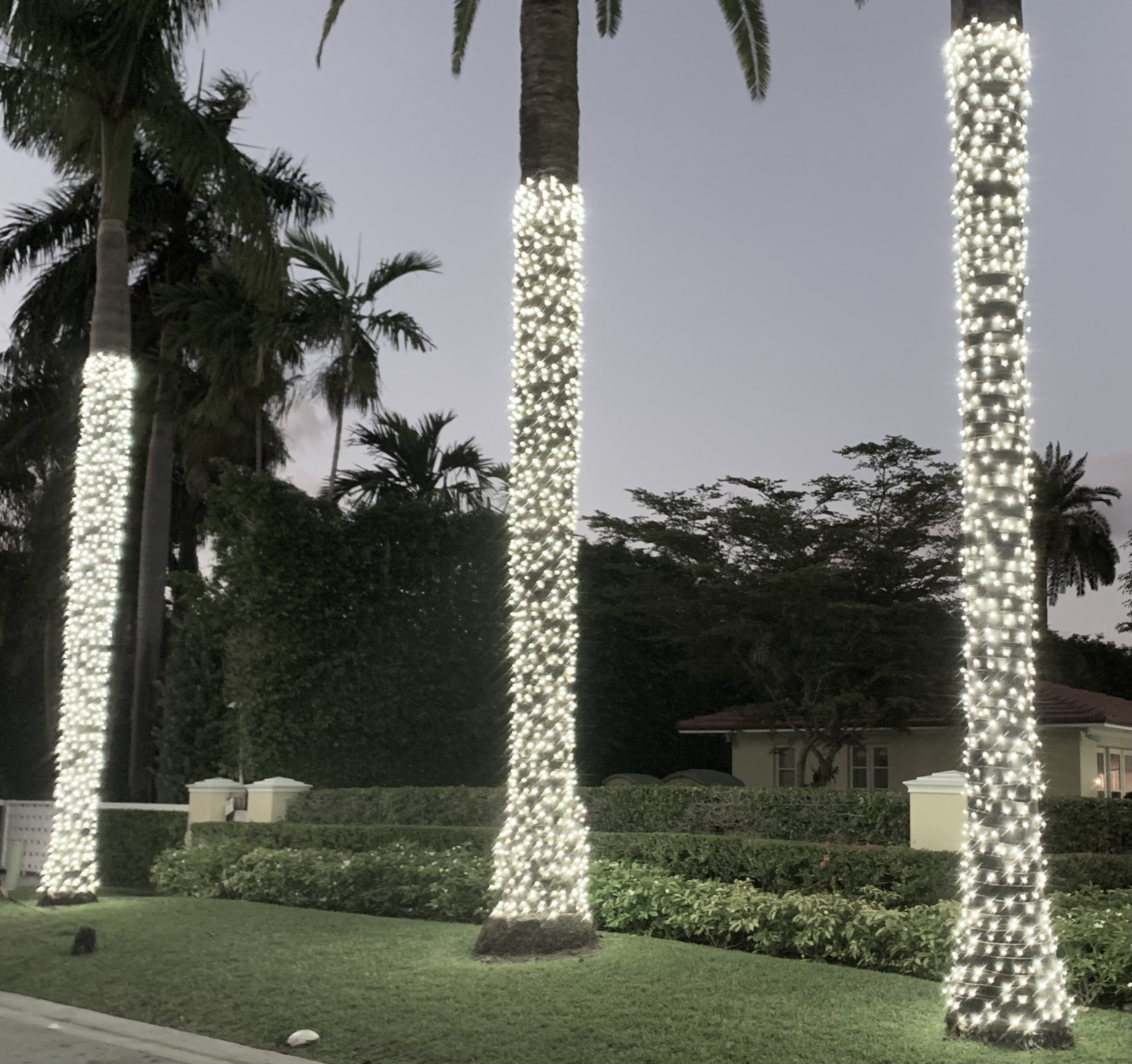 Pictures | Mr Christmas Lights