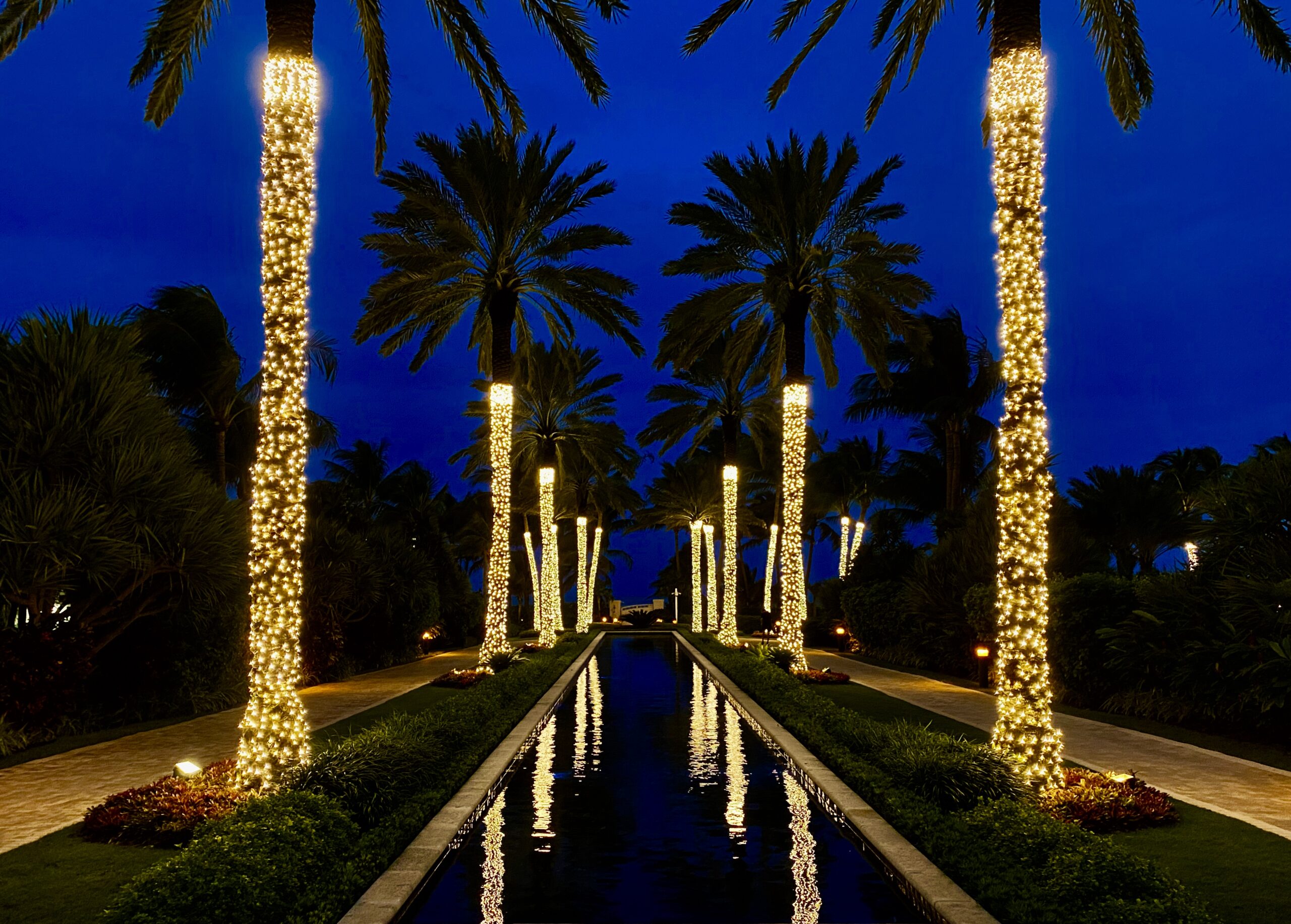 Pictures | Mr Christmas Lights