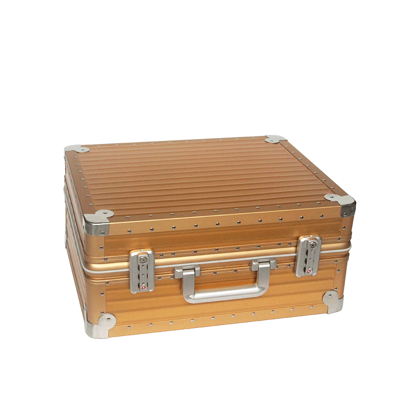 Aluminum Precision Instrument Case For Storage Tools Supplier