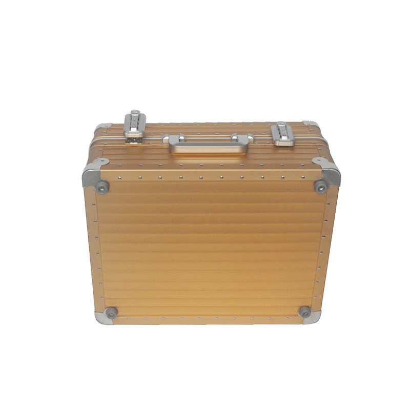 Aluminum Precision Instrument Case For Storage Tools Supplier