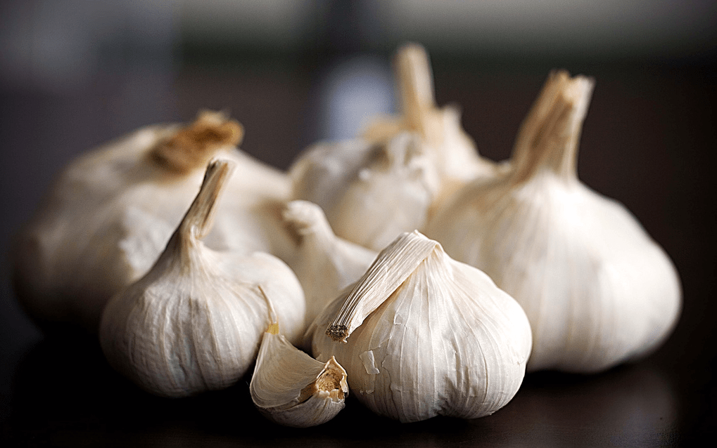 Where do story ideas come from? A garlic clove Michel Sauret