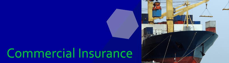 to MS First Capital Insurance Limited