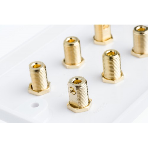 White 11.2 Speaker Wall Plate 22 Terminals + 2 RCA Phono Sockets Two