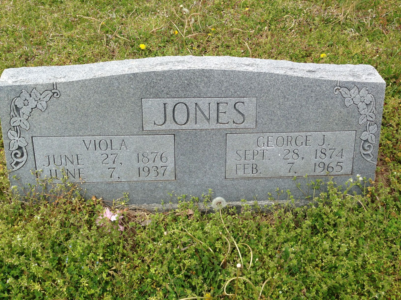 Viola Jones