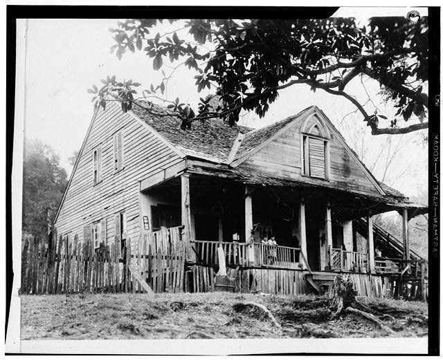 MSGen Plantations Adams