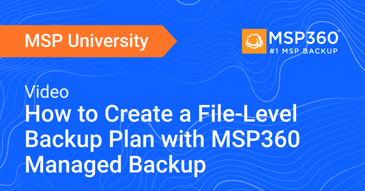FileLevel Backup Plan Creation with MSP360 Managed Backup