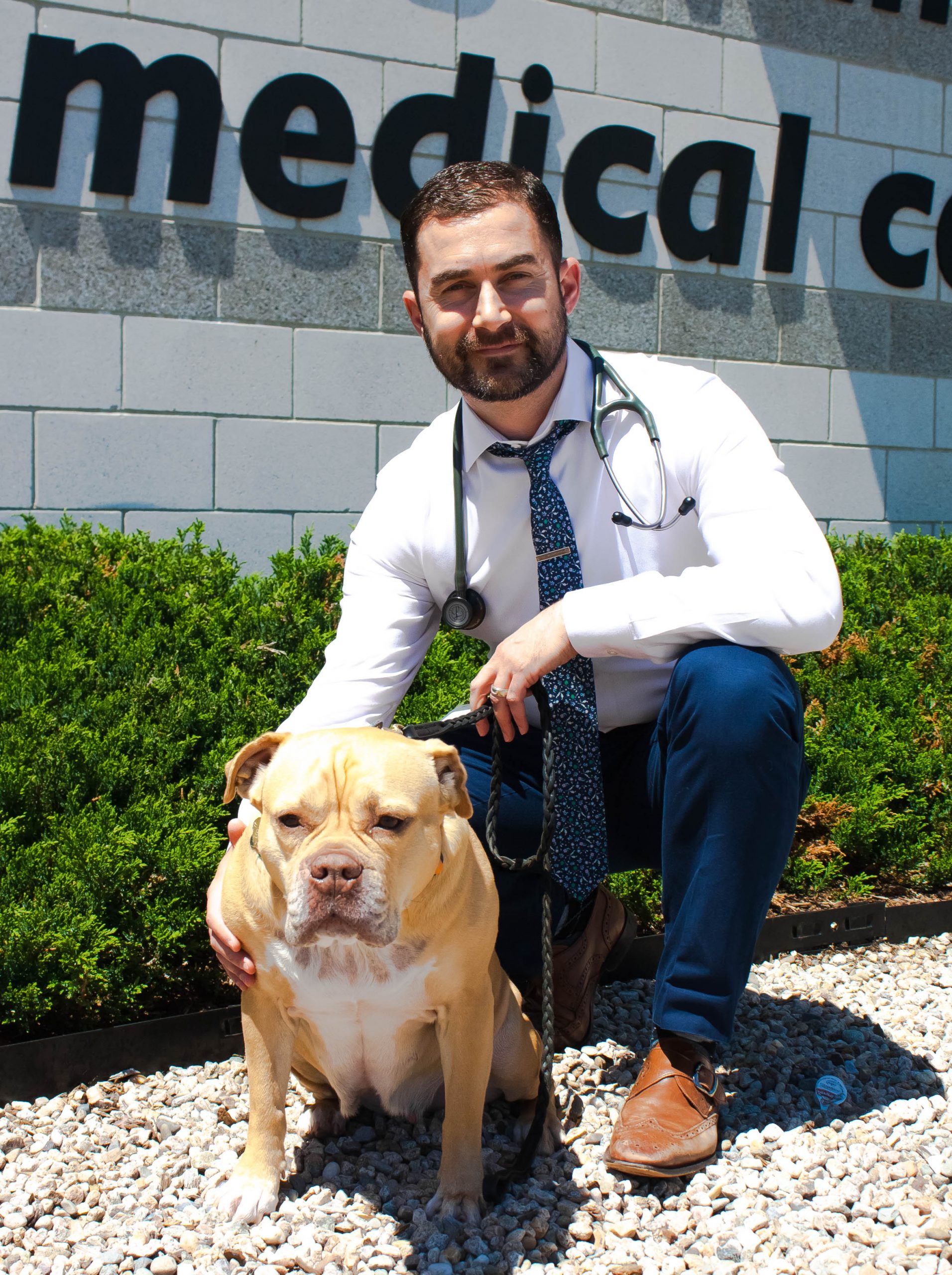 Meet the Neurology Team • MSPCAAngell