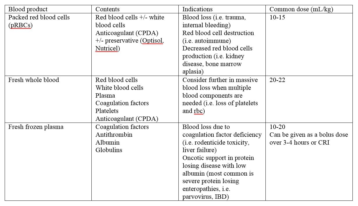 Are Blood Transfusions Safe For Dogs