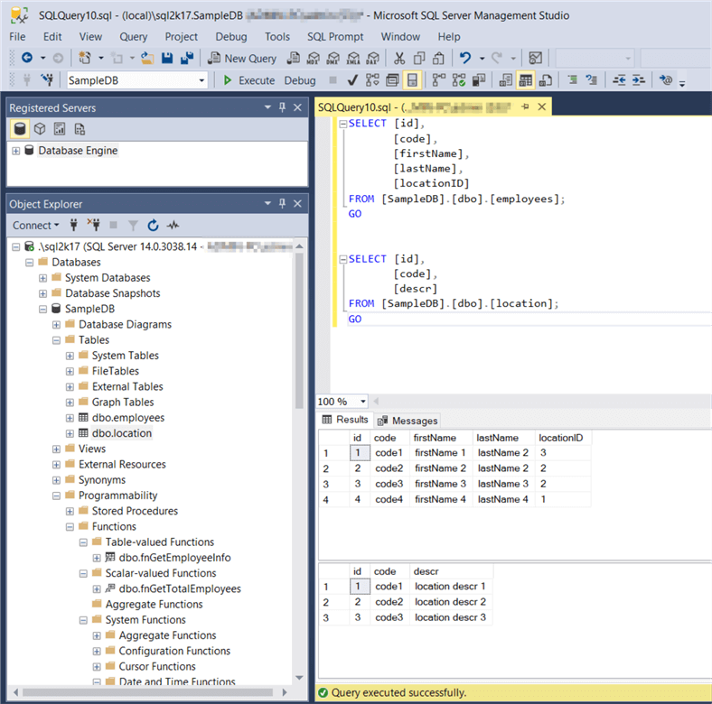Mapping SQL Server Query Results to a DataGridView in