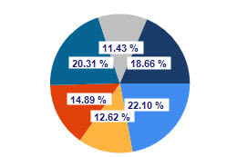 SSRS Multi-Layer Pie Charts