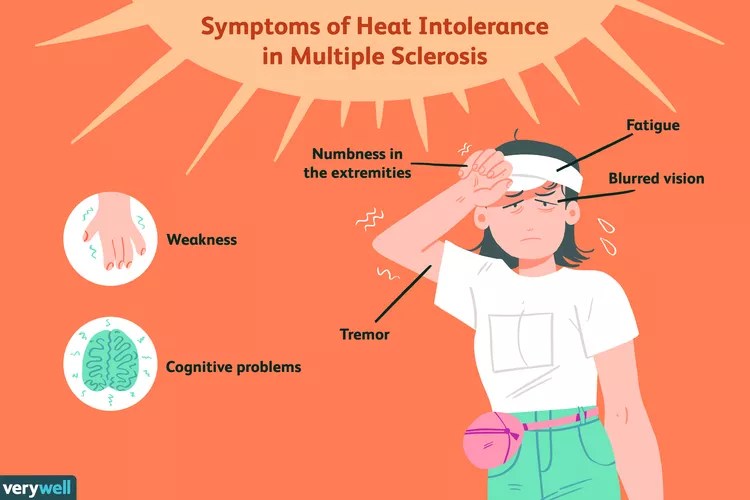 How Heat Affects Multiple Sclerosis Symptoms MS Support Foundation