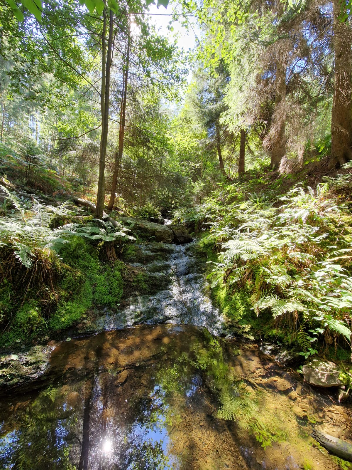 Micro Trail Break Ardennen MudSweatTrails Reizen
