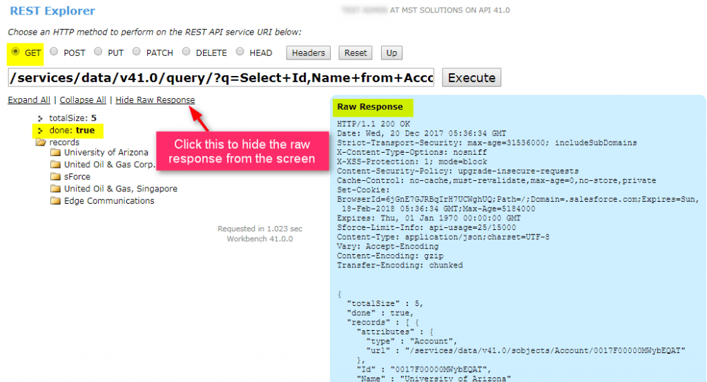 Salesforce Workbench MST Solutions