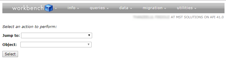 Salesforce Workbench MST Solutions