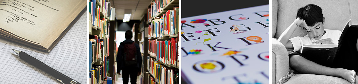 Special Education PostBaccalaureate Teacher Licensure