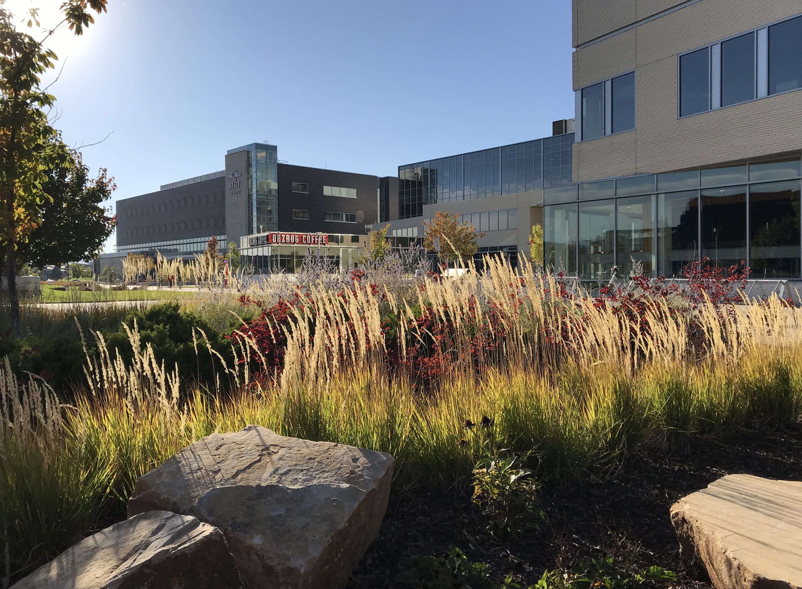 Staff Directory MSU Denver