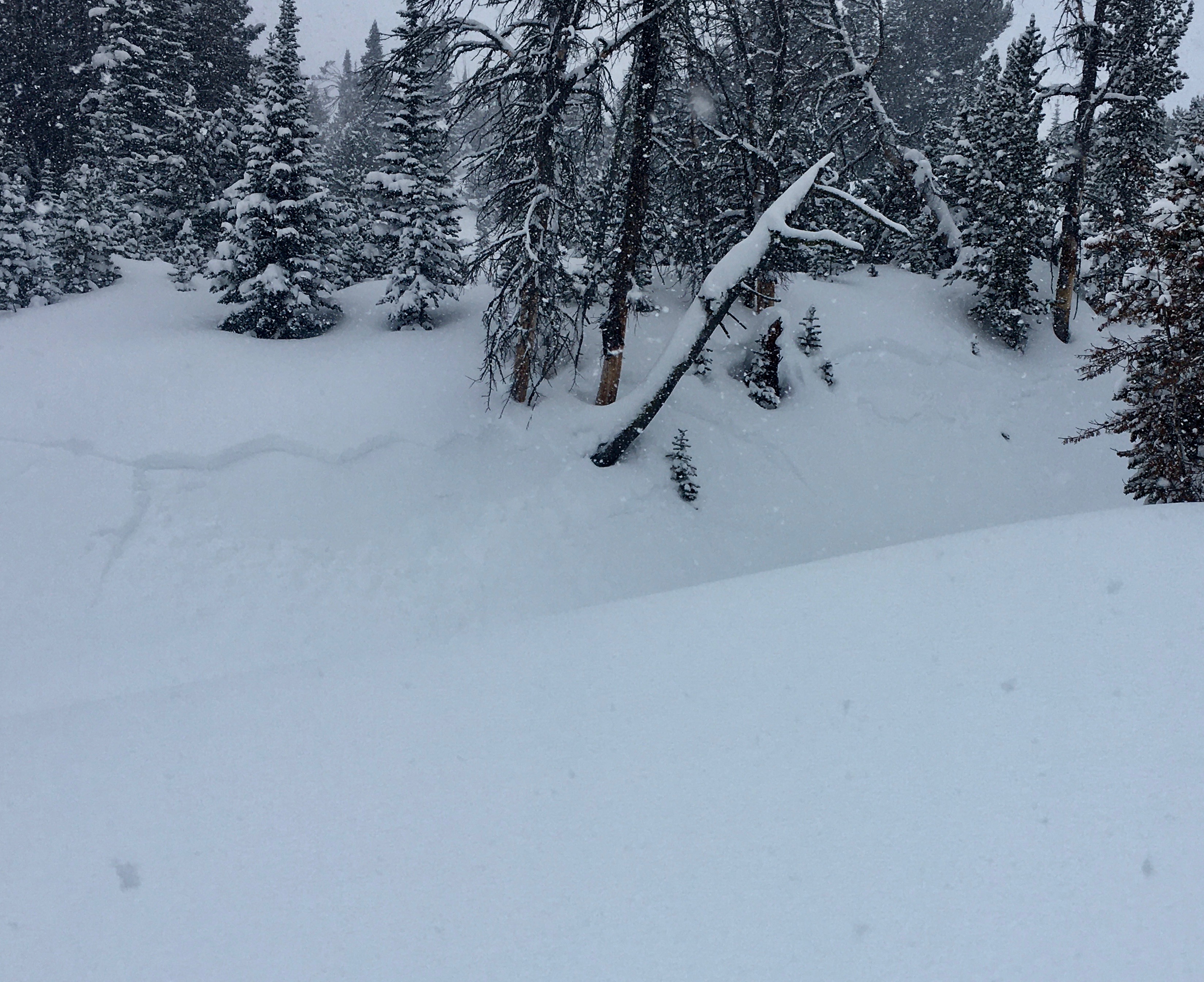 Natural storm snow avalanche Buck Ridge Gallatin National Forest