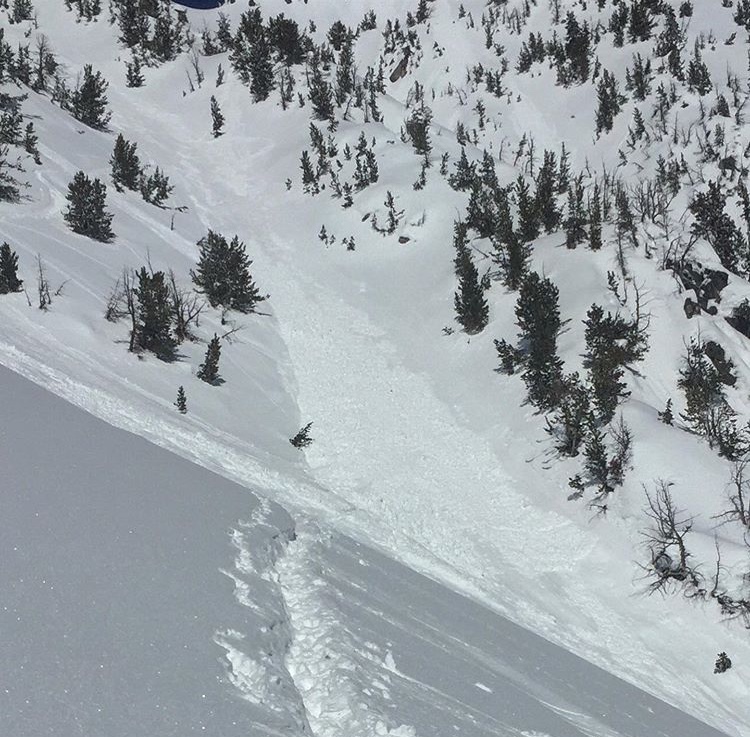 Wet, loose avalanches, Dudley Creek Gallatin National Forest