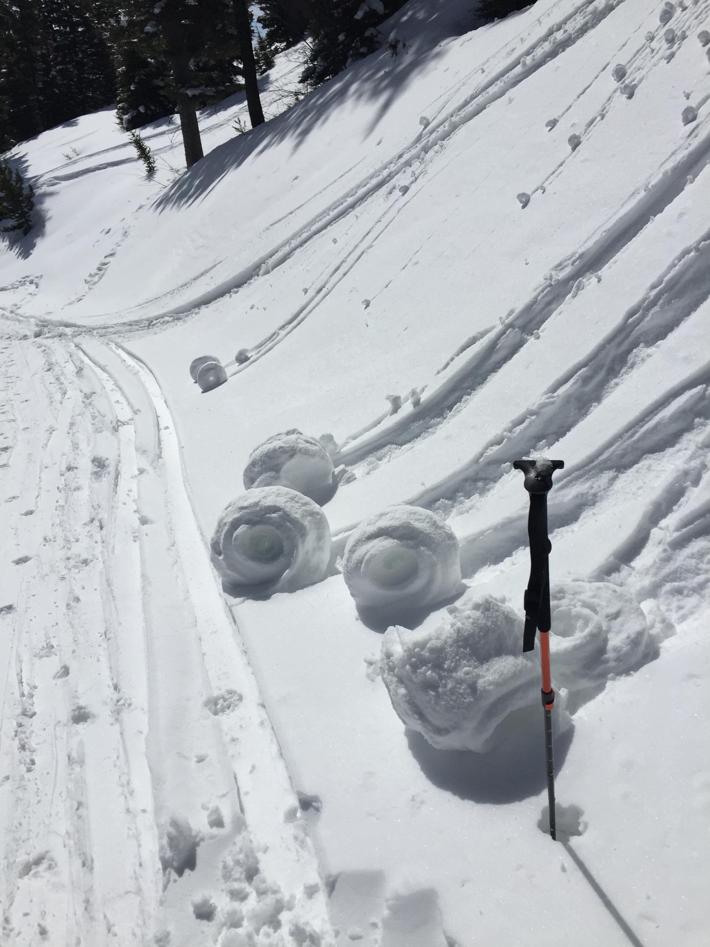 Pinwheels of wet snow Gallatin National Forest Avalanche Center