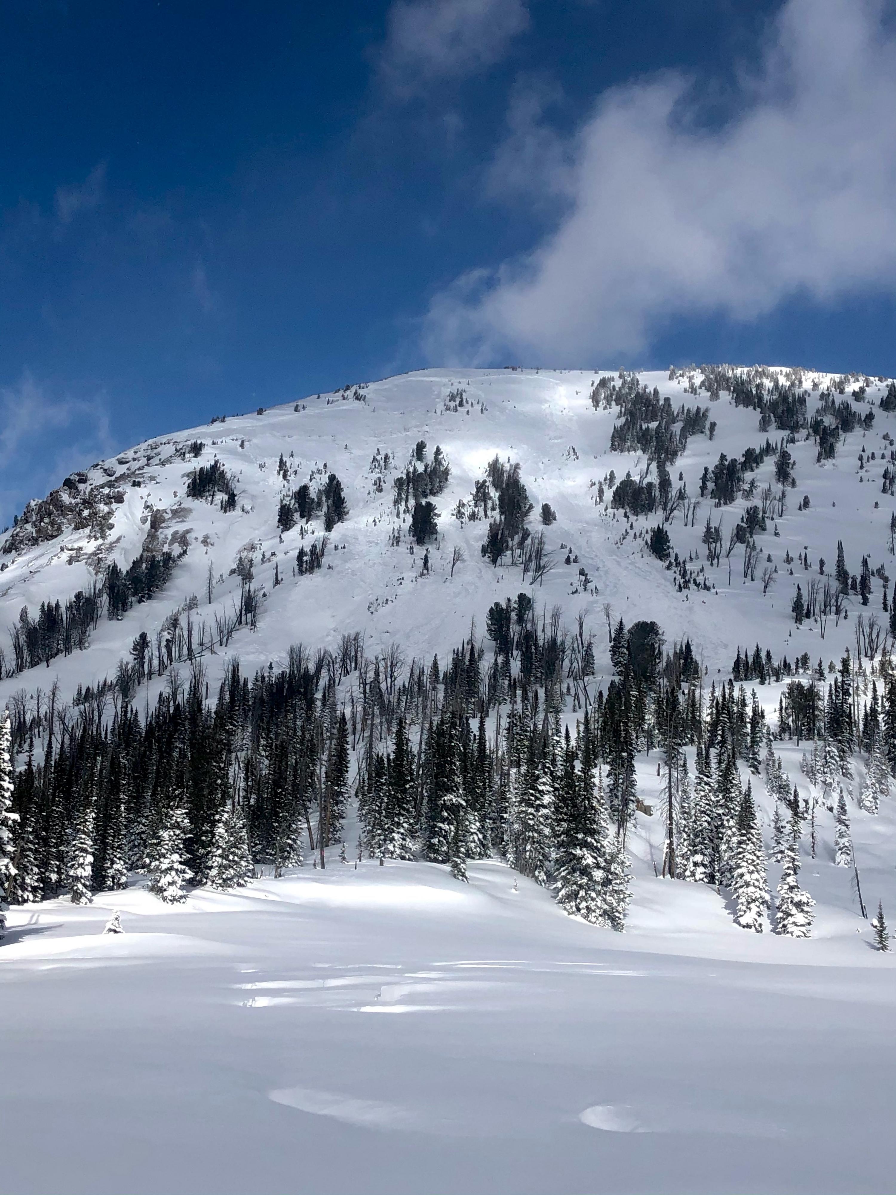 Large avalanche on Mt. Abundance Gallatin National Forest Avalanche Center