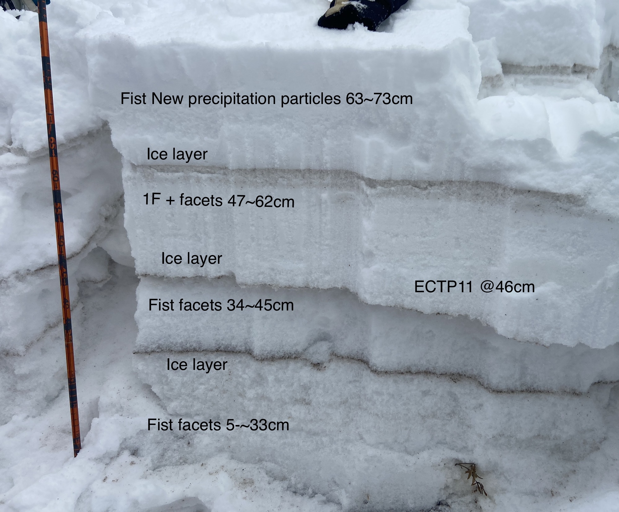 Middle Basin Snowpit Gallatin National Forest Avalanche Center