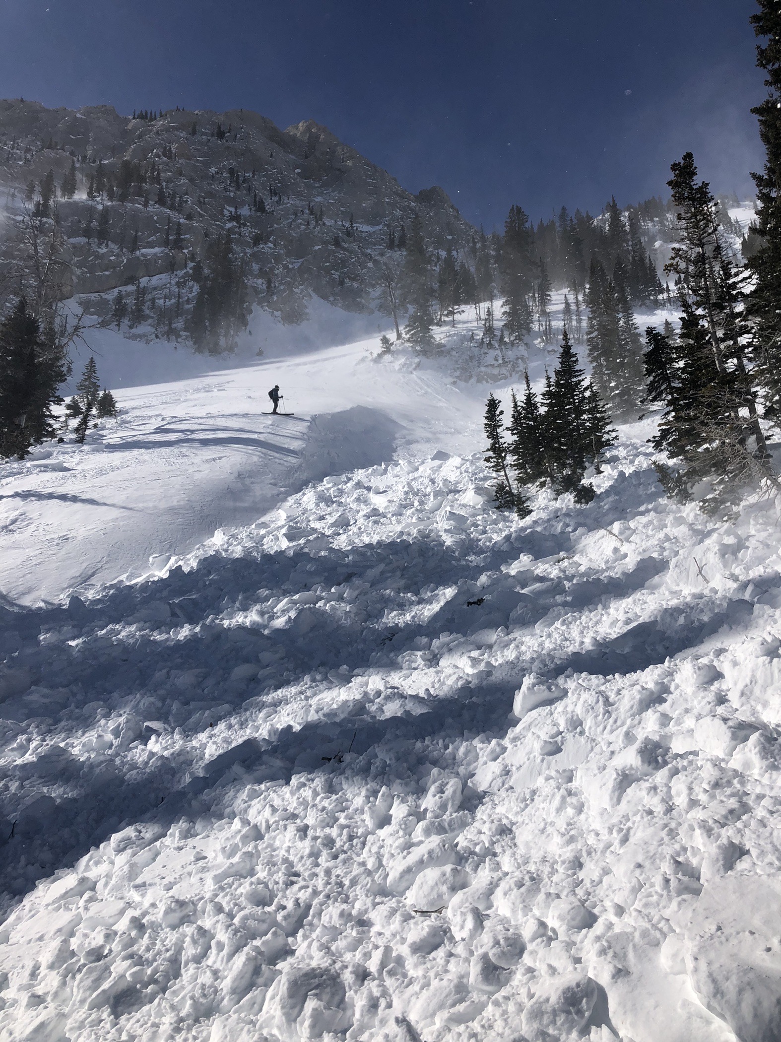 Toe of a remote triggered avalanche in N. Bridgers Gallatin National