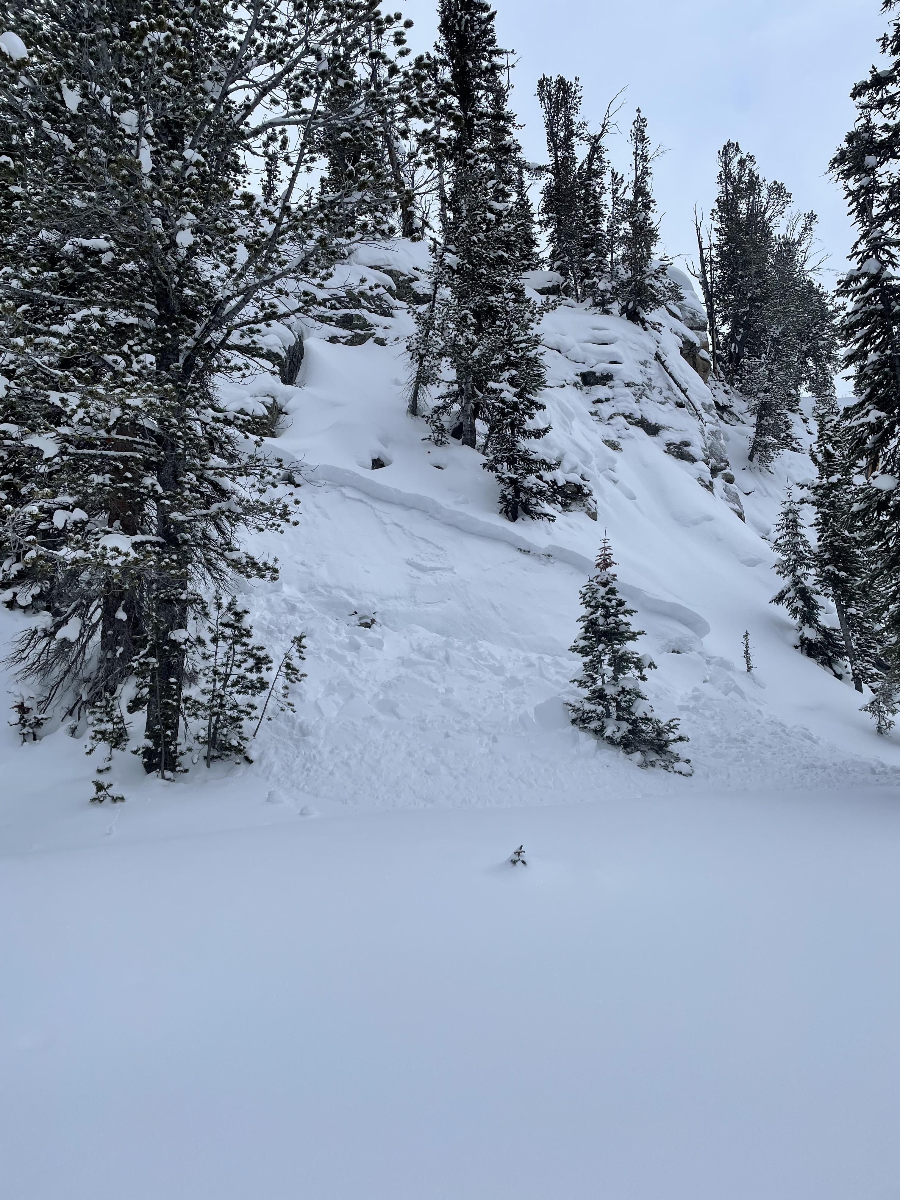 Remotely Triggered Avalanche, Cooke City Gallatin National Forest