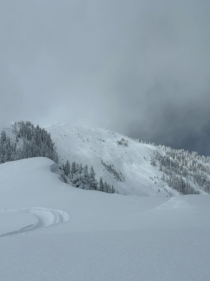 Remote Triggered Avalanche Lionhead Gallatin National Forest