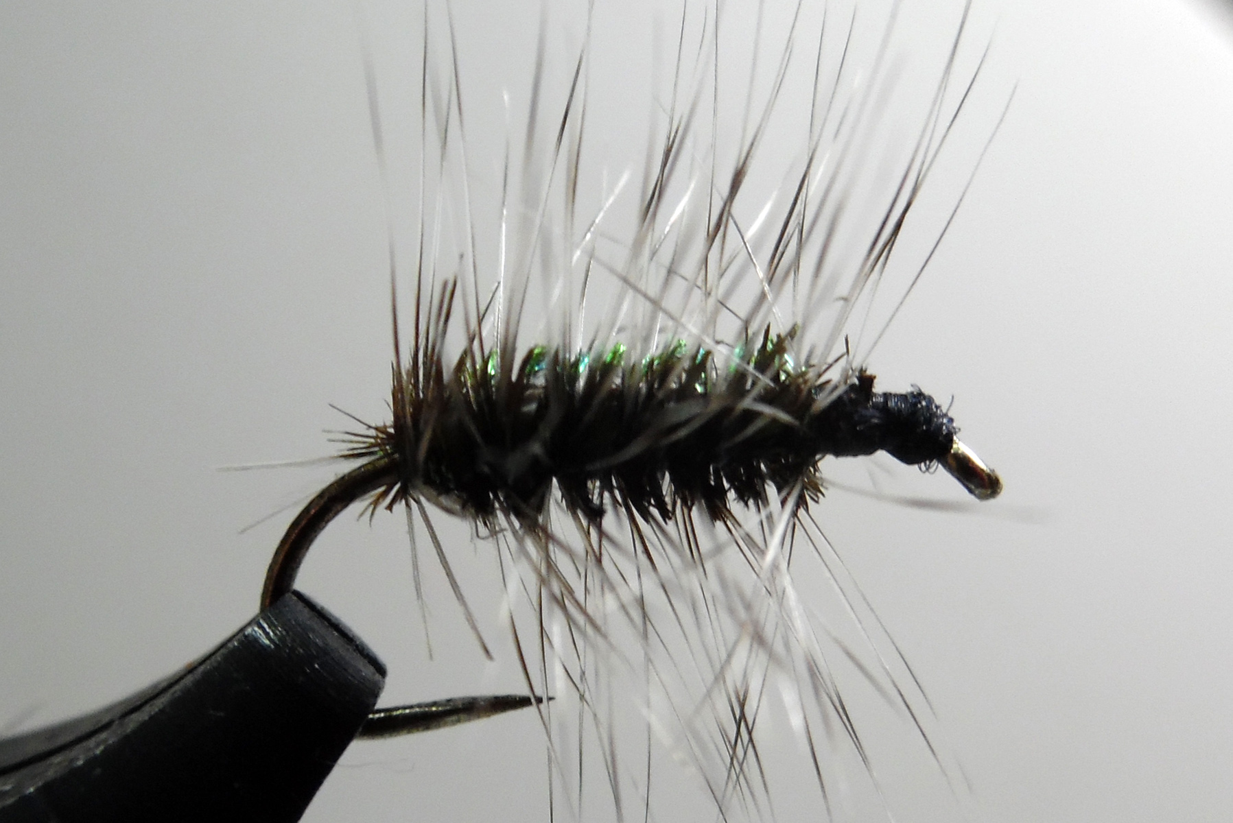Griffith's Gnat Missouri Trout Fisherman's Association Springfield