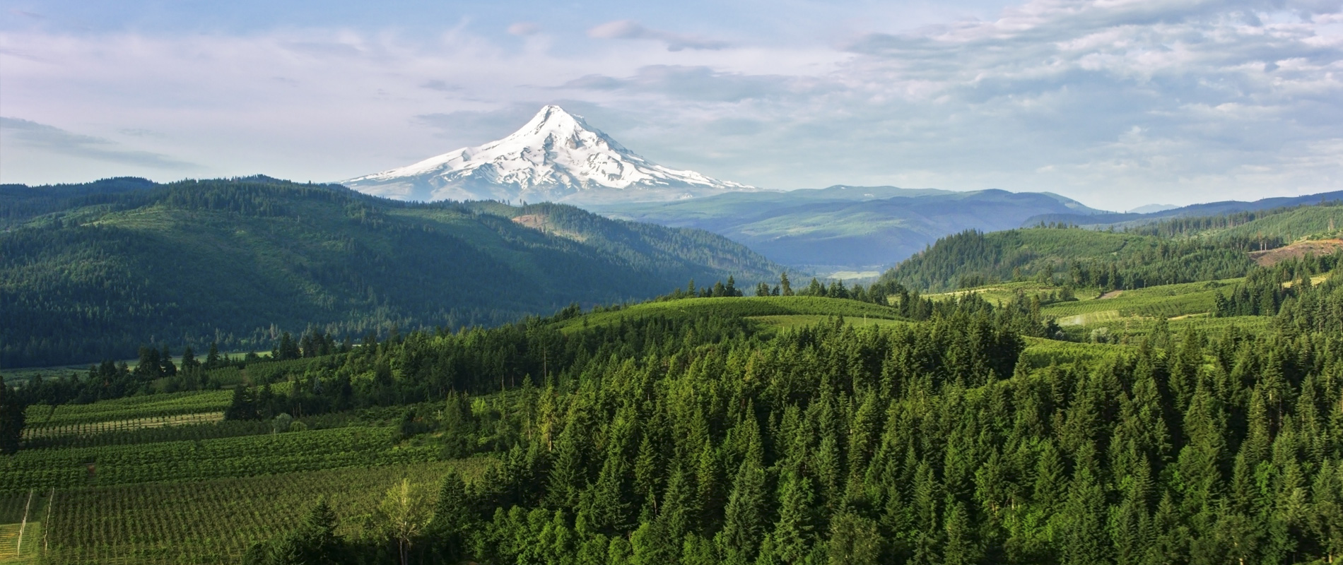 Tiny Houses at Mt. Hood Village, Oregon