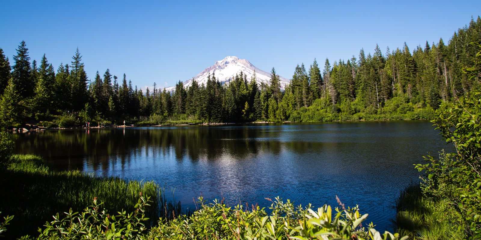 Tiny Houses at Mt. Hood Village, Oregon