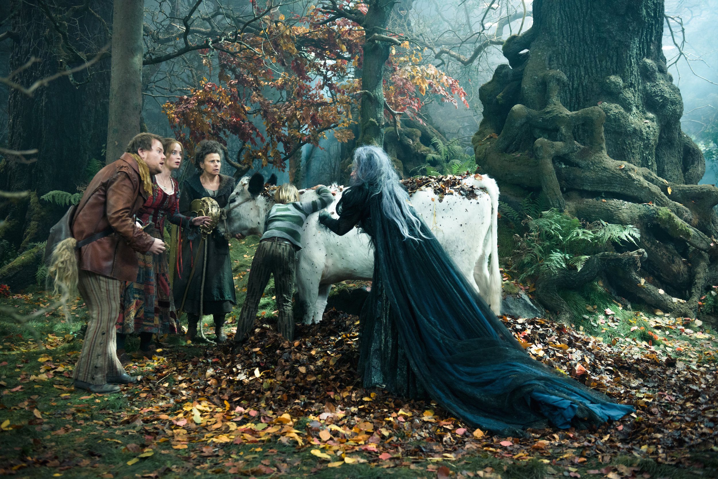 Into the Woods The Journey from Stage to Screen Music Theatre International