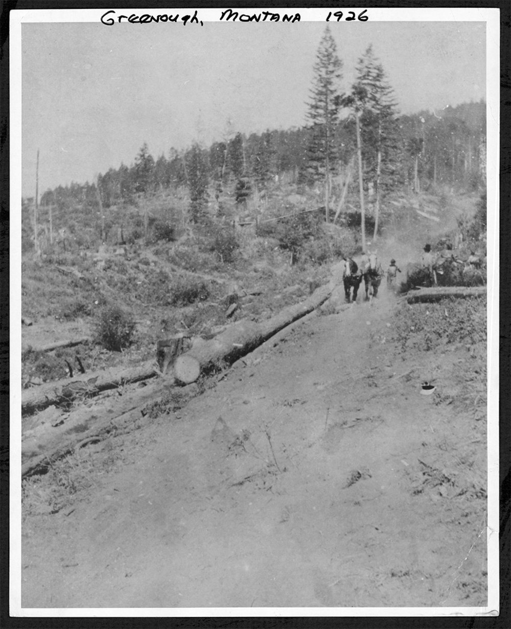 Logging in Greenough, Montana Montana Memory Project